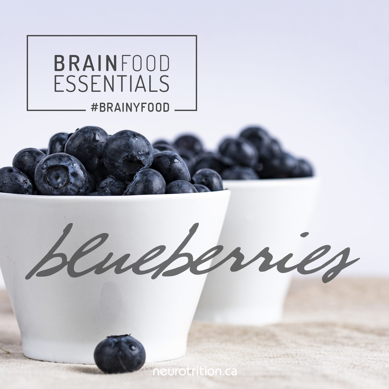 Brain Food Essentials :: Blueberries Brain Food Essentials :: Blueberries