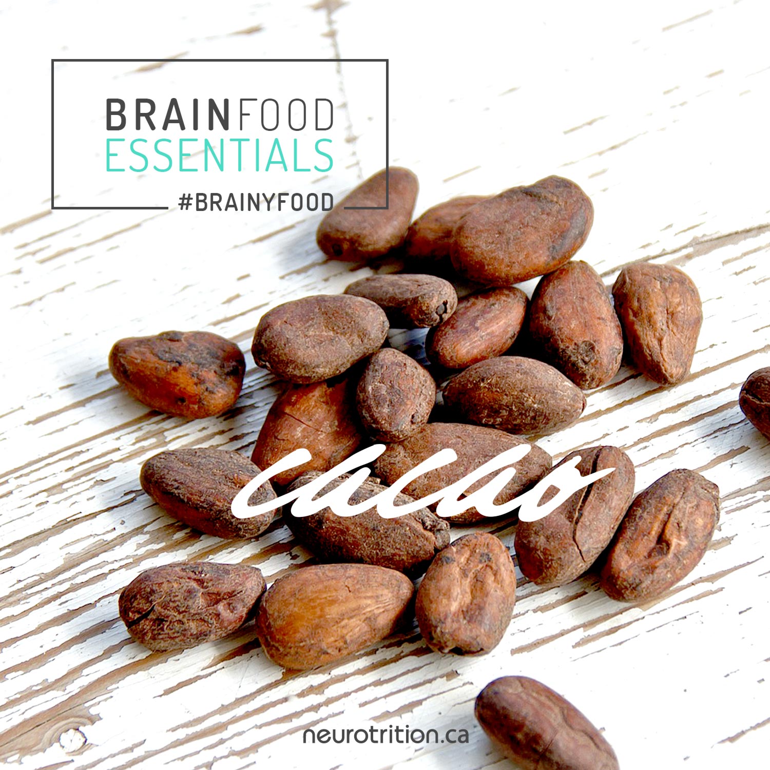 Brain Food Essentials :: Cacao Brain Food Essentials :: Cacao