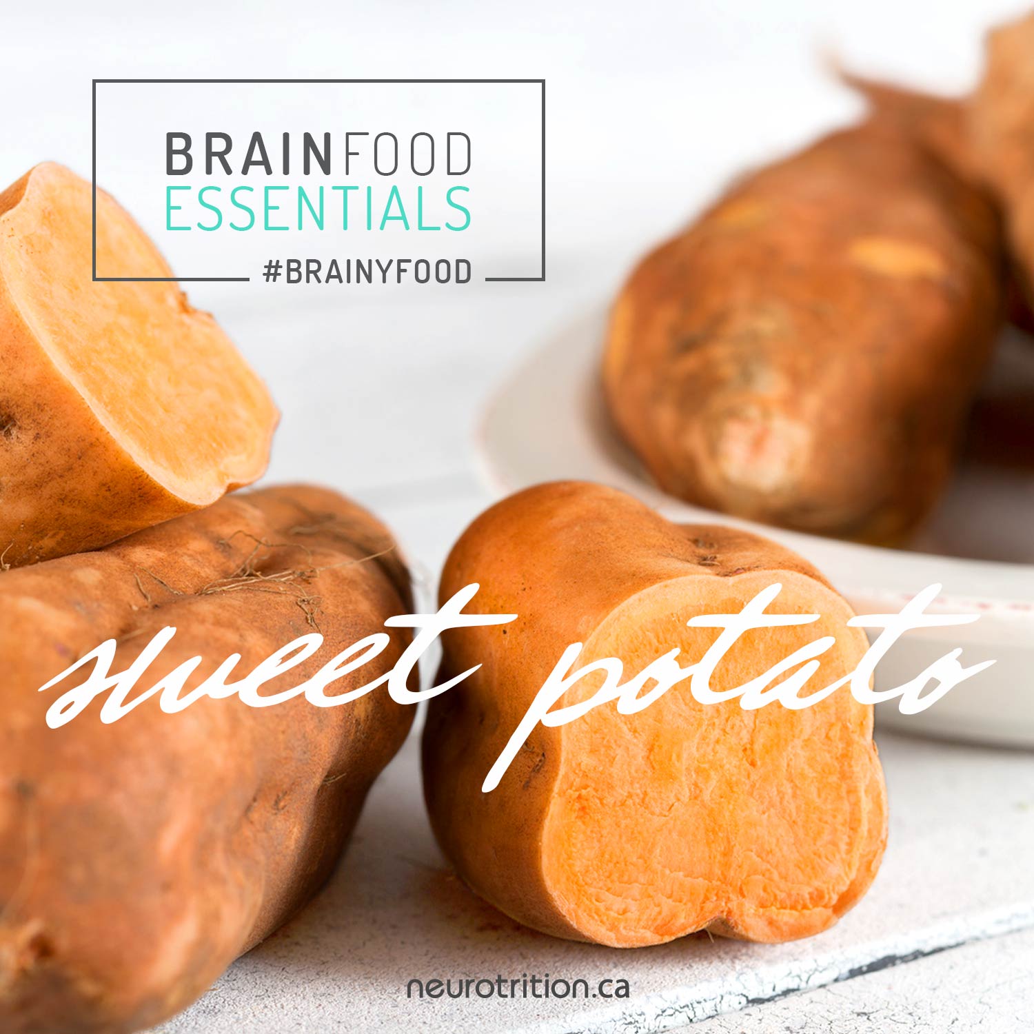 Sweet Potato Sweet Potato