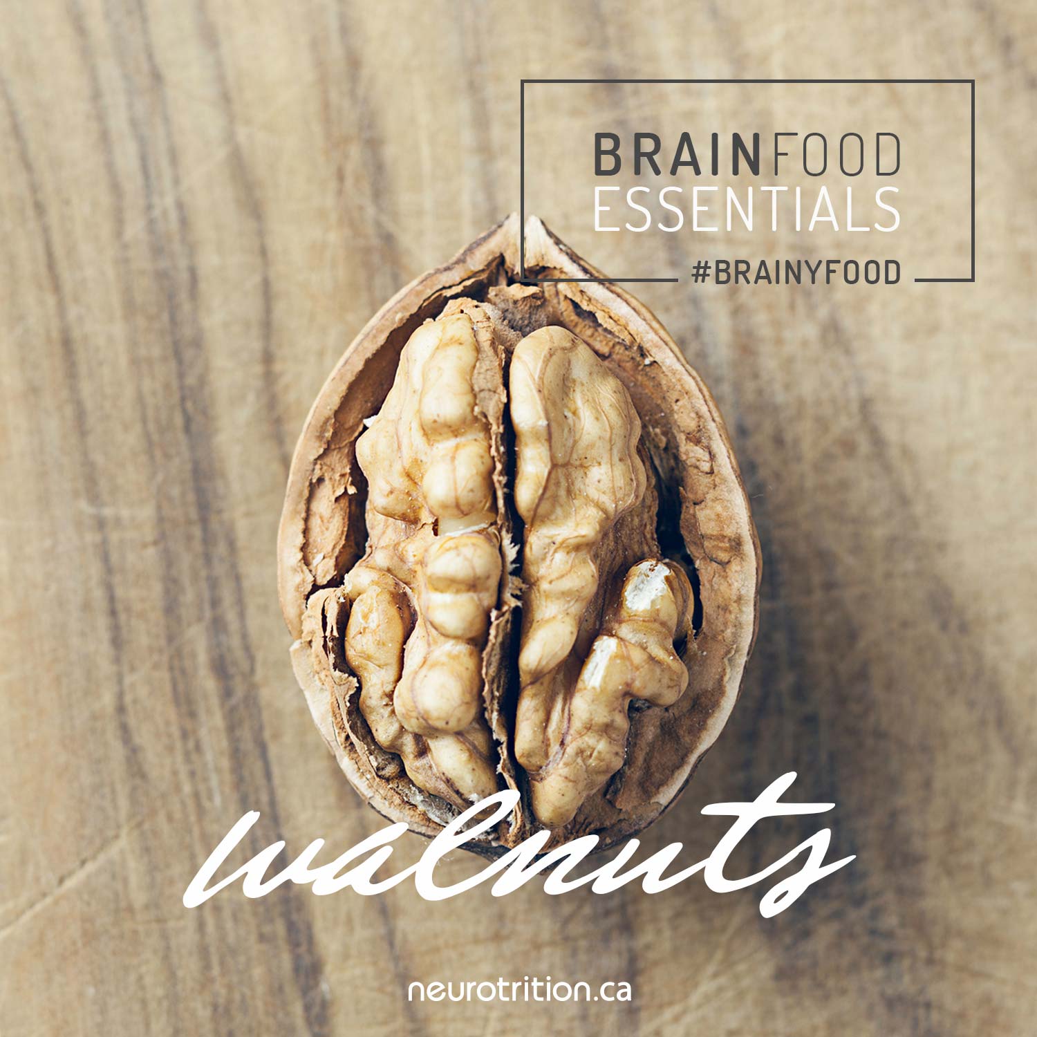 Brain Food Essentials : Walnuts Brain Food Essentials : Walnuts