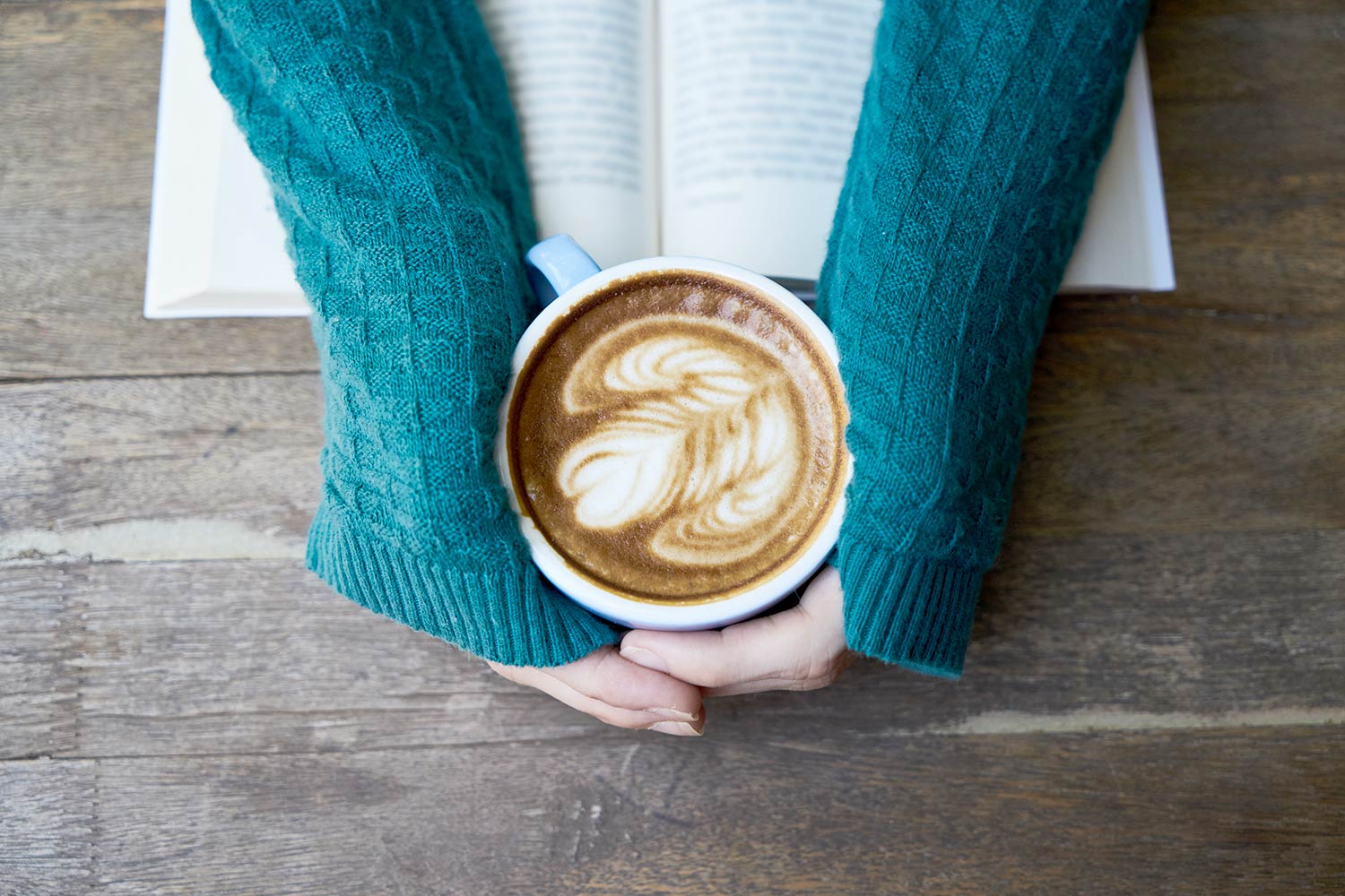 Gift Guide: Top 5 Brain Science Books Gift Guide: Top 5 Brain Science Books